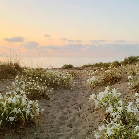 Διαμέρισμα Surrounded By Nature Near The Sea - Cefalù