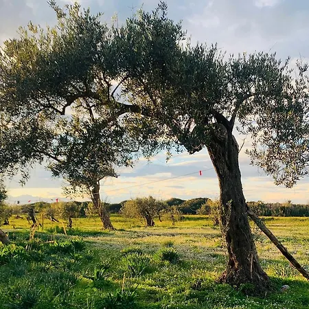 Surrounded By Nature Near The Sea - Apartamento
