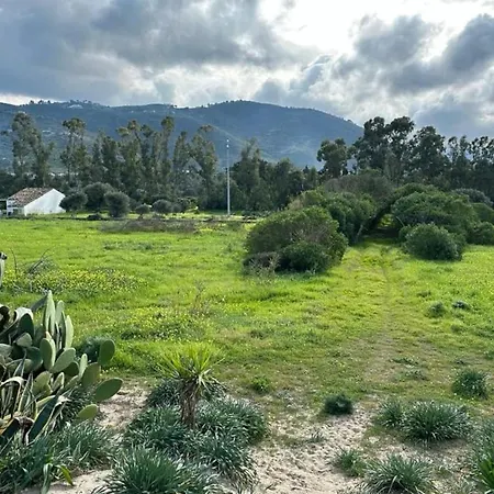 Apartamento Surrounded By Nature Near The Sea - *