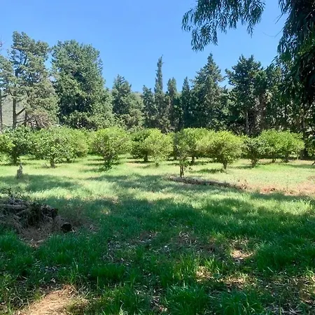 Διαμέρισμα Surrounded By Nature Near The Sea -