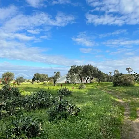 Apartment Surrounded By Nature Near The Sea - *