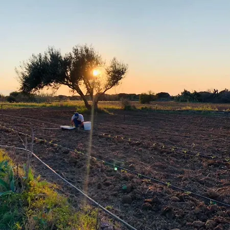 Surrounded By Nature Near The Sea - Διαμέρισμα