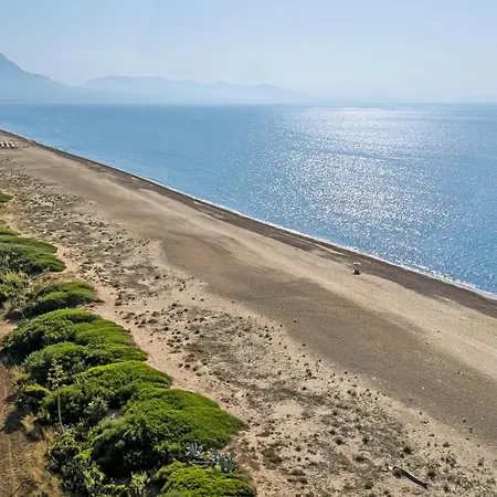 Surrounded By Nature Near The Sea -