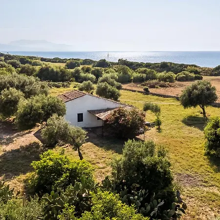 Surrounded By Nature Near The Sea - Apartamento