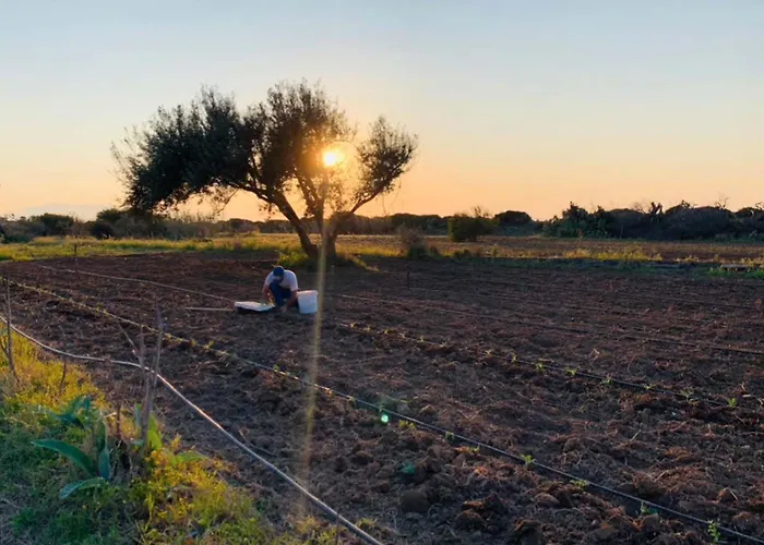 Surrounded By Nature Near The Sea - דירה
