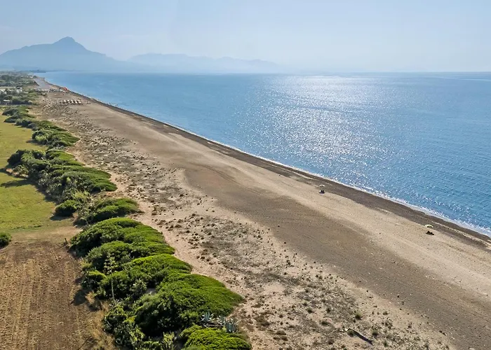 Surrounded By Nature Near The Sea -